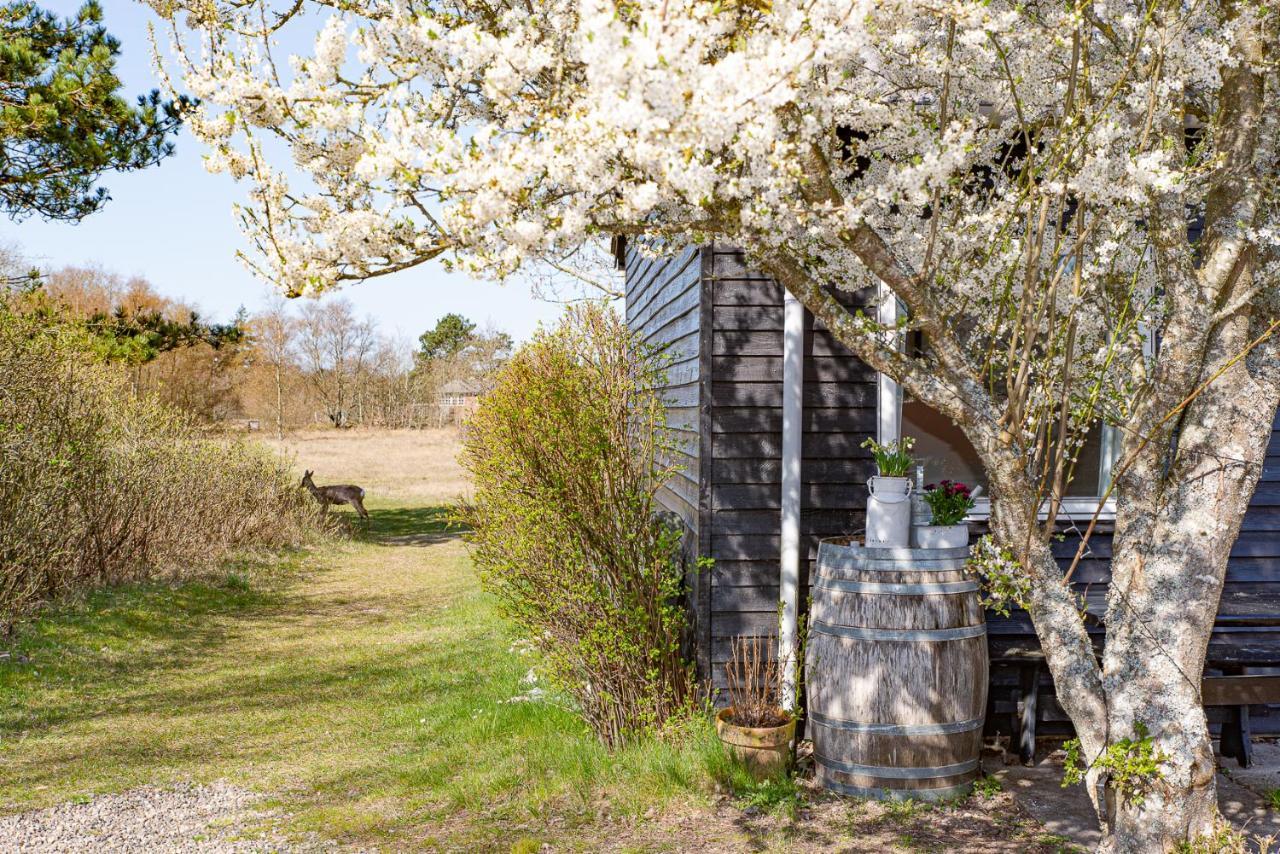 Poppelgaarden Romo B&B Romo Kirkeby Exterior foto