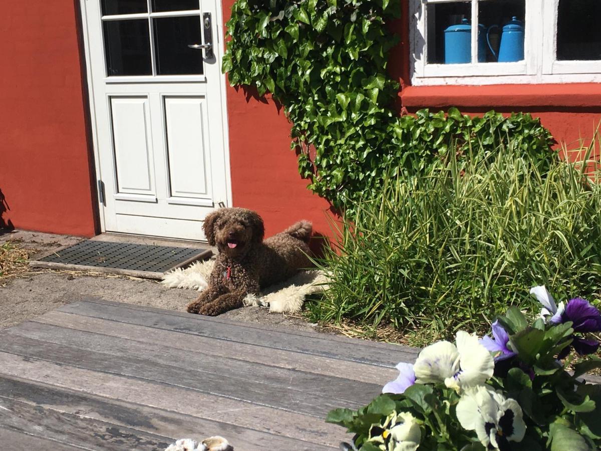 Poppelgaarden Romo B&B Romo Kirkeby Exterior foto