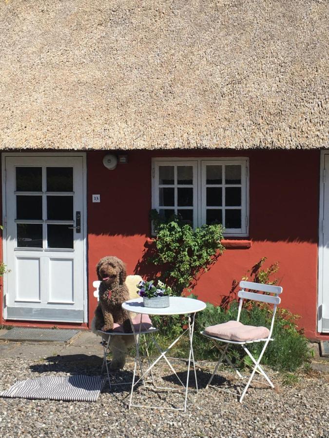Poppelgaarden Romo B&B Romo Kirkeby Exterior foto