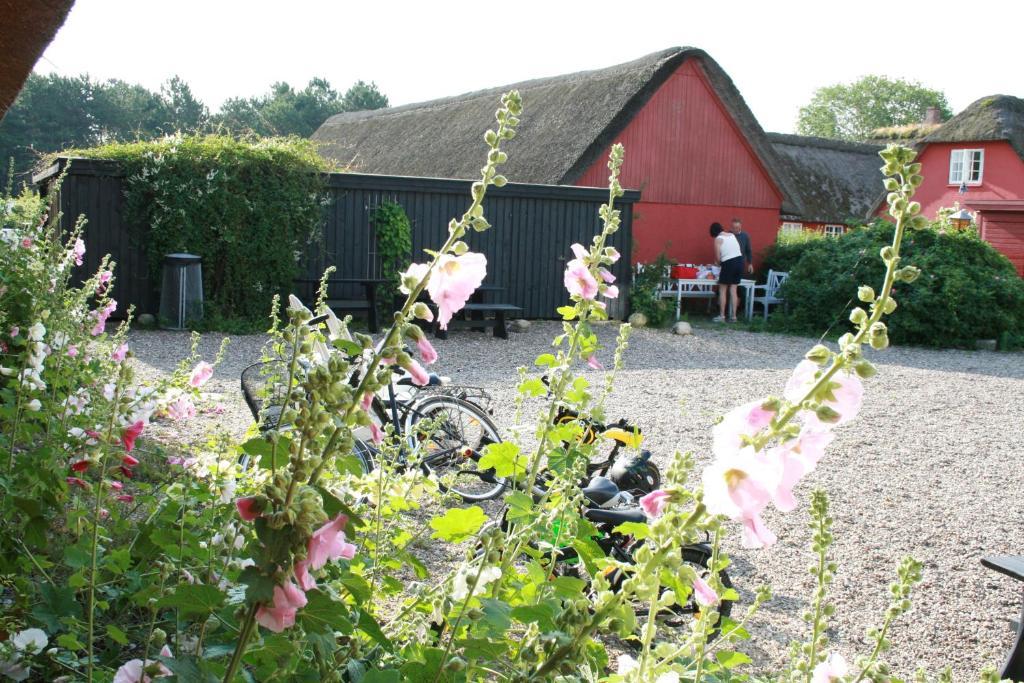 Poppelgaarden Romo B&B Romo Kirkeby Exterior foto
